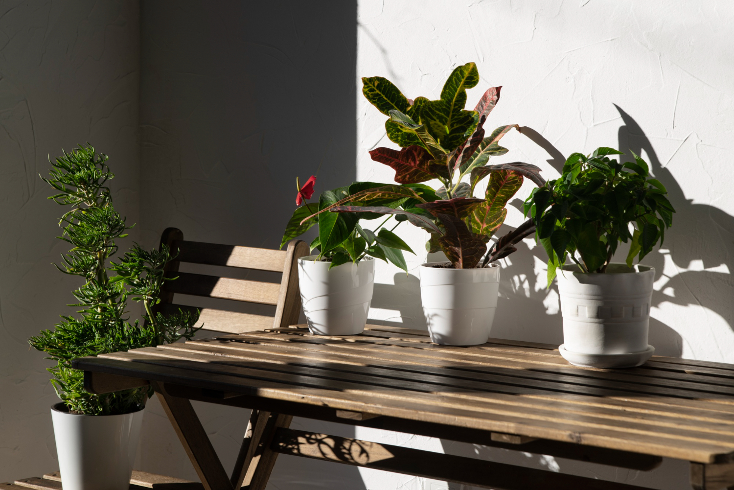 Jakie sztuczne rośliny na balkon wybrać? Przewodnik po donicach i roślinach odpornych na UV