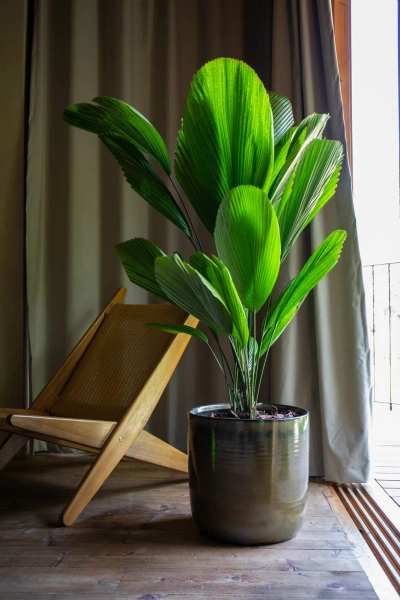 Jupiter 24/24 osłonka ceramiczna morska zieleń sea green