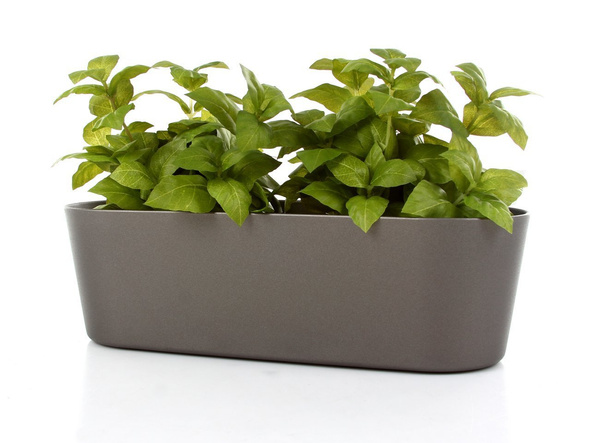 Flori 36x14/11 cm antracytowa doniczka podłużna