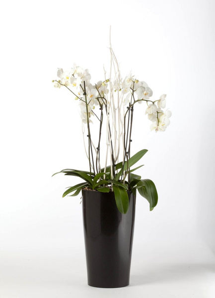 VASO T MOOD ALTO 31/55 doniczka czarna metalik z połyskiem