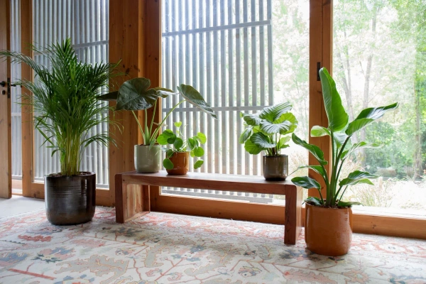 Jupiter 28/28 osłonka ceramiczna niebieska