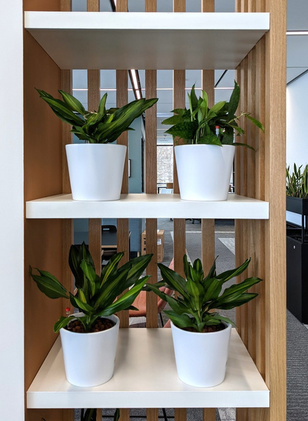 VASA 7/6,5 (MK5/5) mini osłonka ceramiczna kremowa matowa