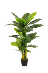 Sztuczny skrzydłokwiat spathiphyllum 130 cm 28 liści