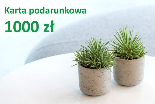 Karta podarunkowa 1000 zł e-karta