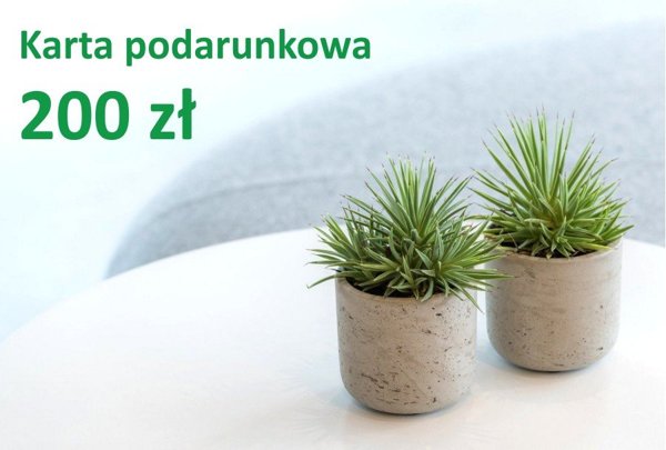 Karta podarunkowa 200 zł e-karta