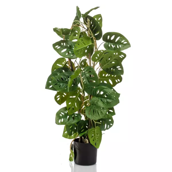 Sztuczna Monstera Monkey 75 cm 3 pnie