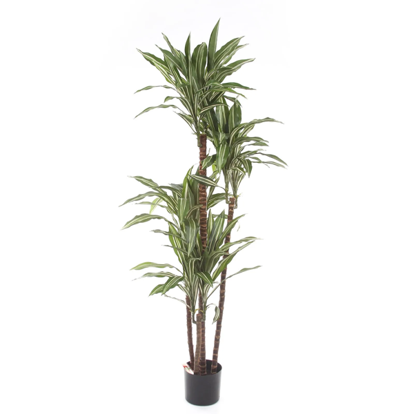 Sztuczna dracena fragrans variegated 150 cm 81 liści